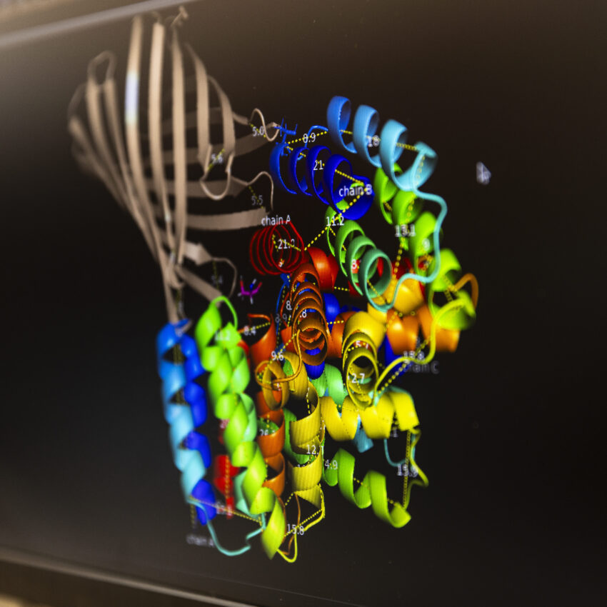 photo of computational protein image